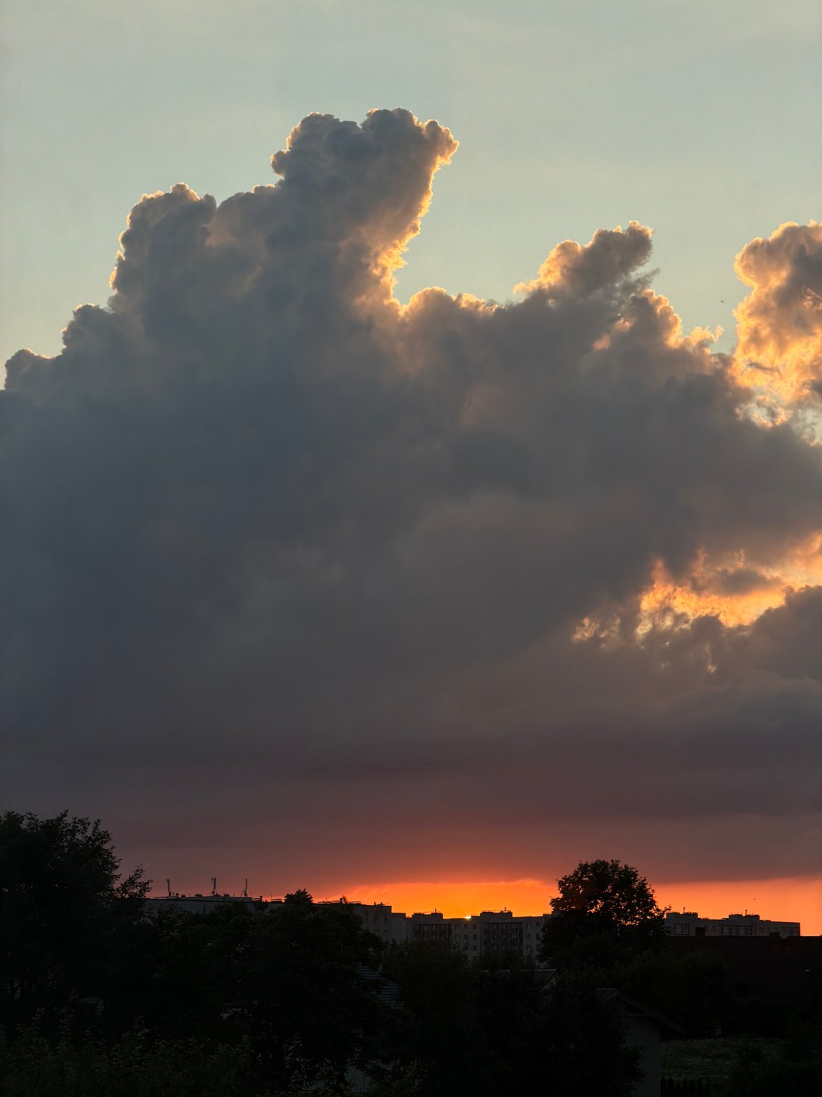 Black cat, bumblebees, and a striking midsummer sunset in Dreiliņi