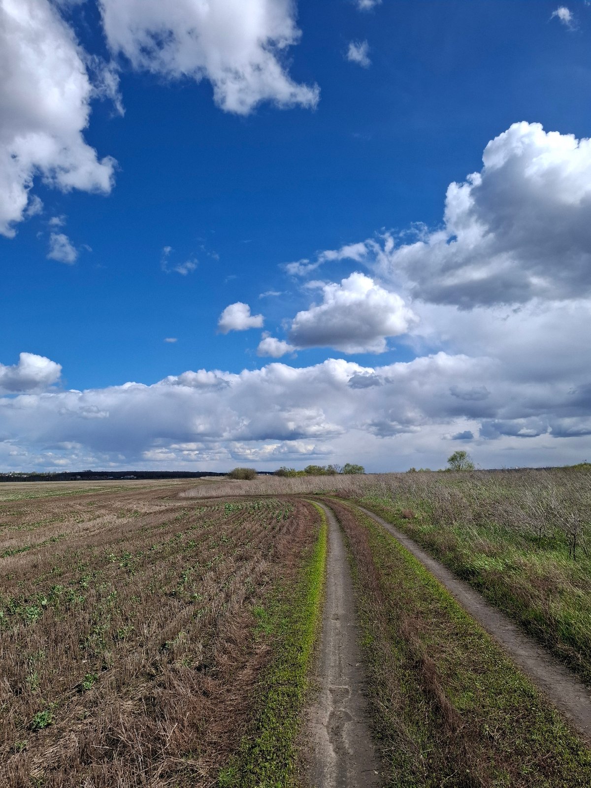 Rural landscape documented in Treshchevka, Russia under dynamic skies