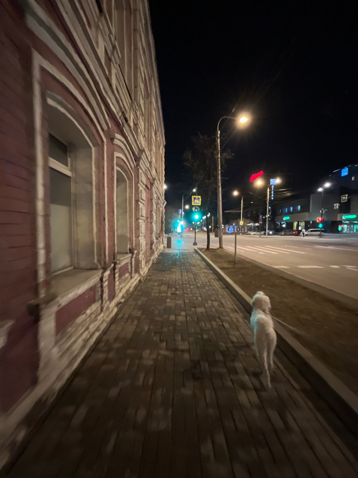 Night trolley bus maintenance observed on brick street