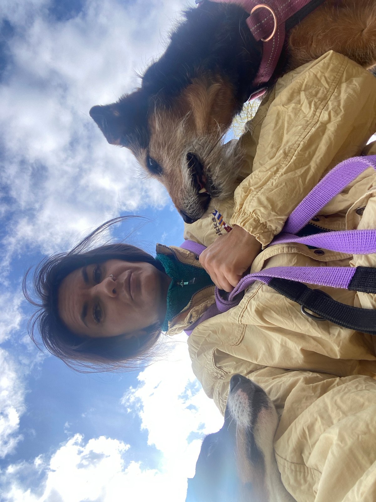Morning dog gathering in Moscow park draws multiple witnesses