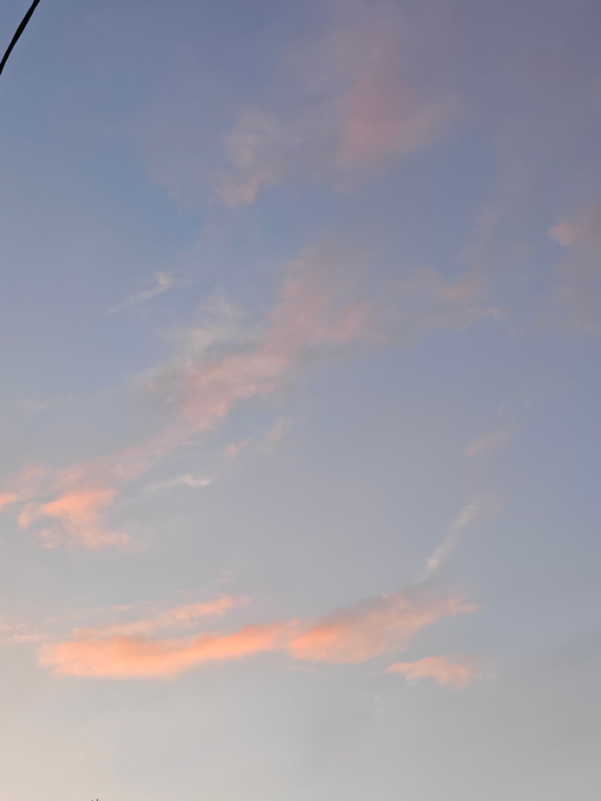 Summer evening details in Pushkin: hydrangeas, twilight sky, quiet street