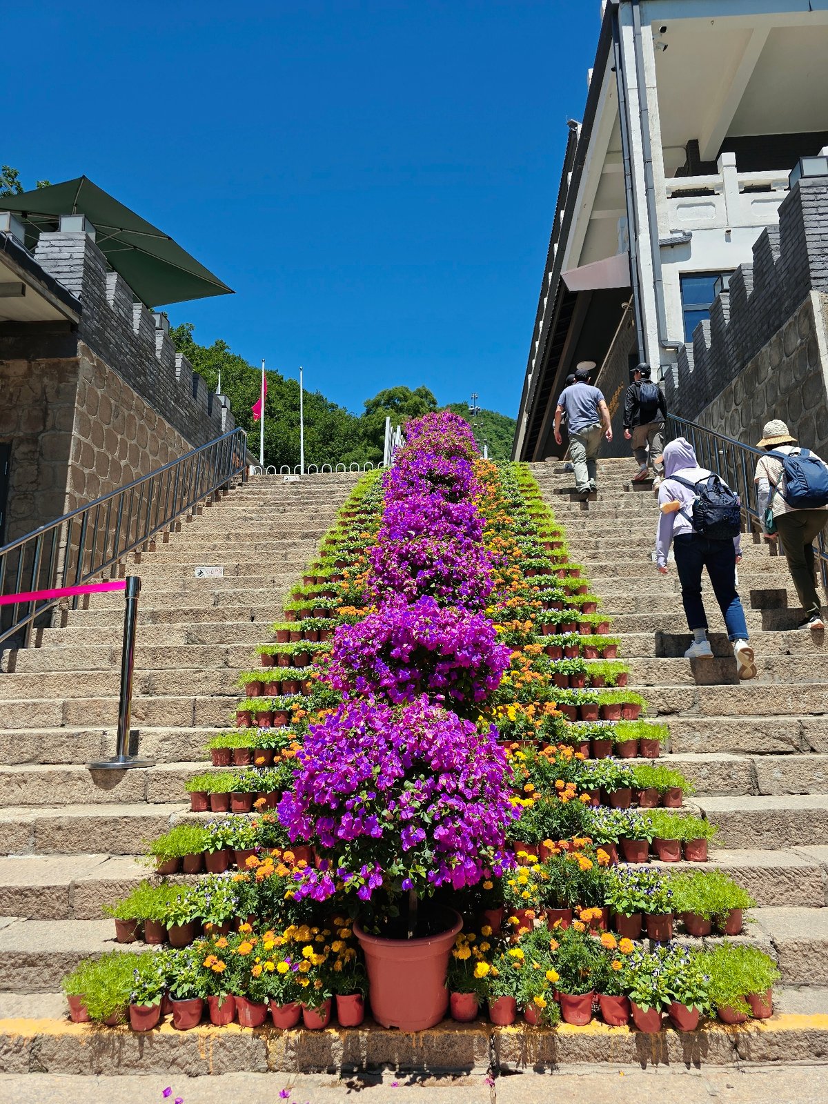 Summer morning at the Great Wall, Huairou District