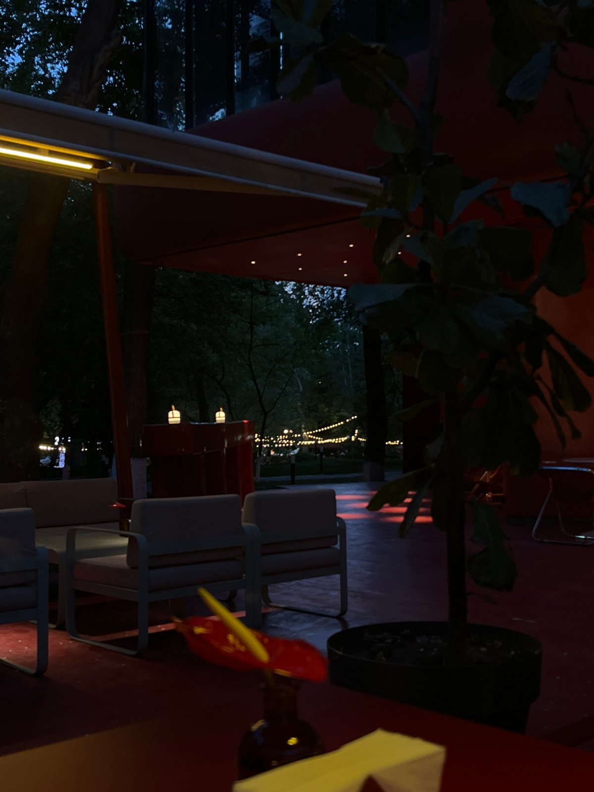 Evening scenes captured in Yerevan: outdoor dining, shopping selfie