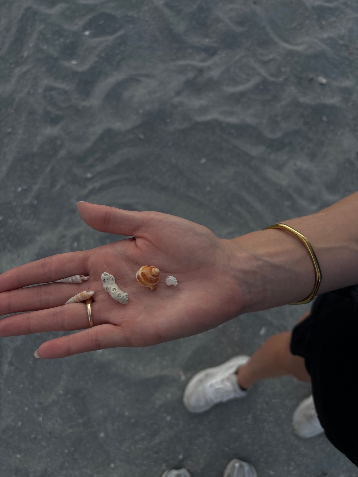 Evening beachcomber collects seashells on Delray Beach shoreline