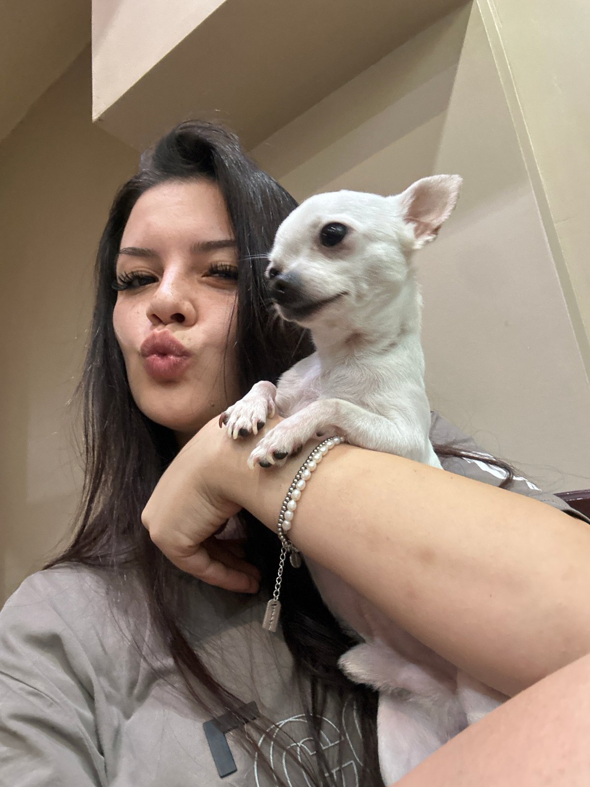 Lazy afternoon selfies with a white chihuahua in Sliven