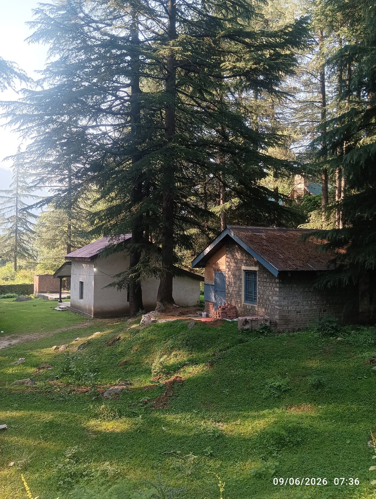 Morning nature scenes documented across Old Manali's rivers and forests
