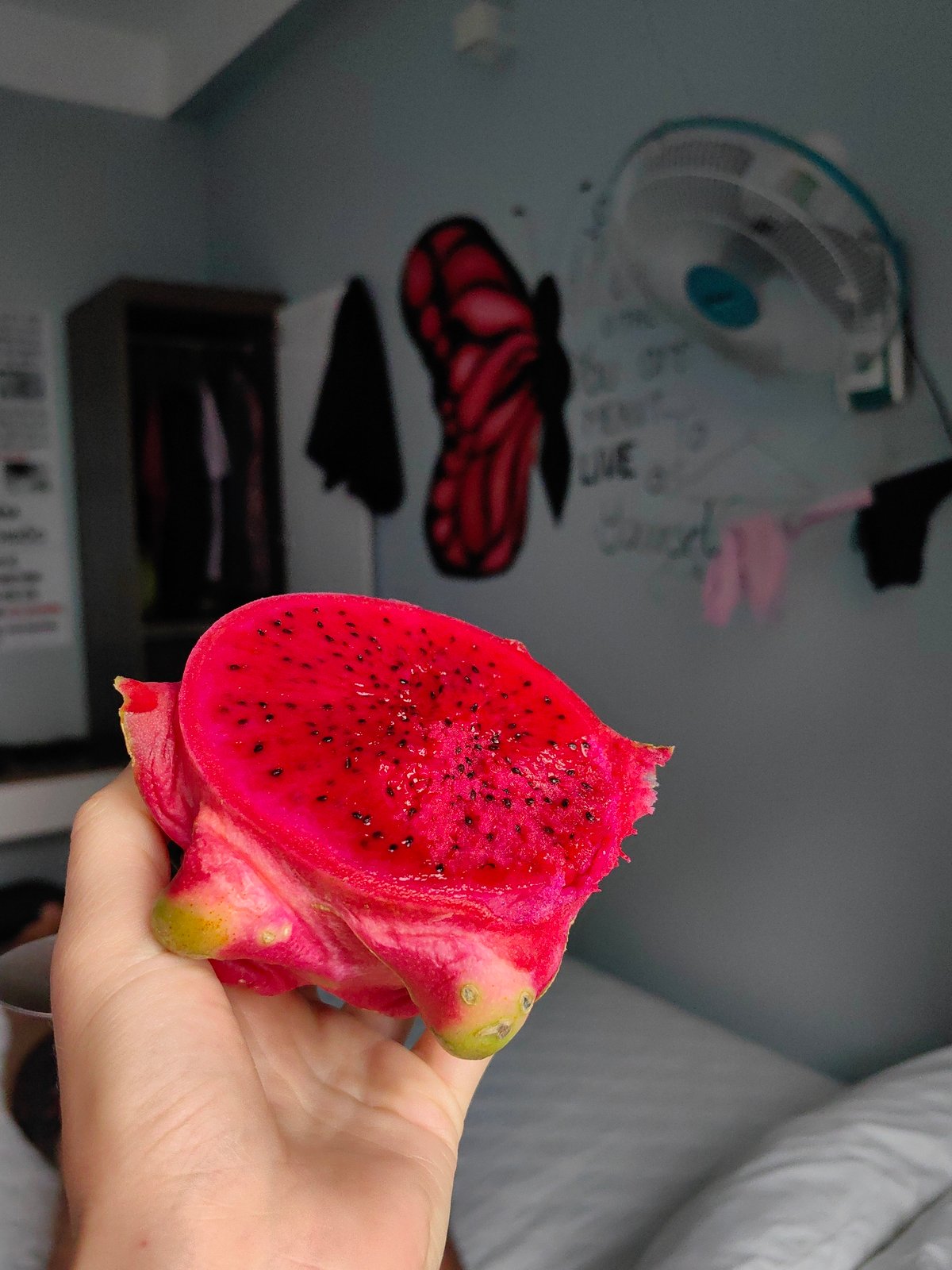 Morning domestic life documented in Vietnamese residential ward