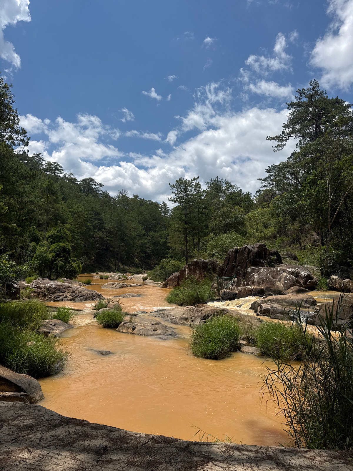 Morning documentation of Vietnam's muddy rivers and forest paths