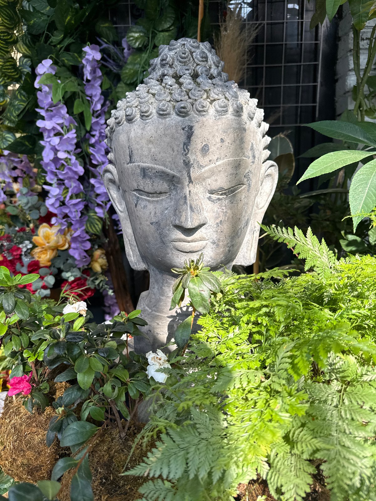 Evening visits captured at Mexico City garden center