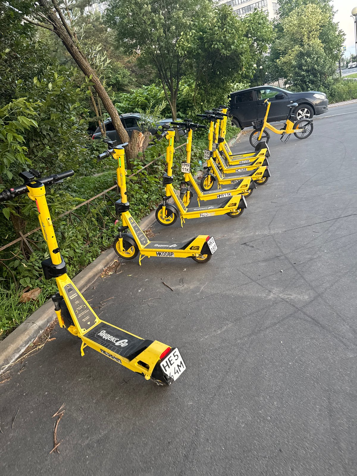 Yellow electric scooters parked in a row, Saint Petersburg