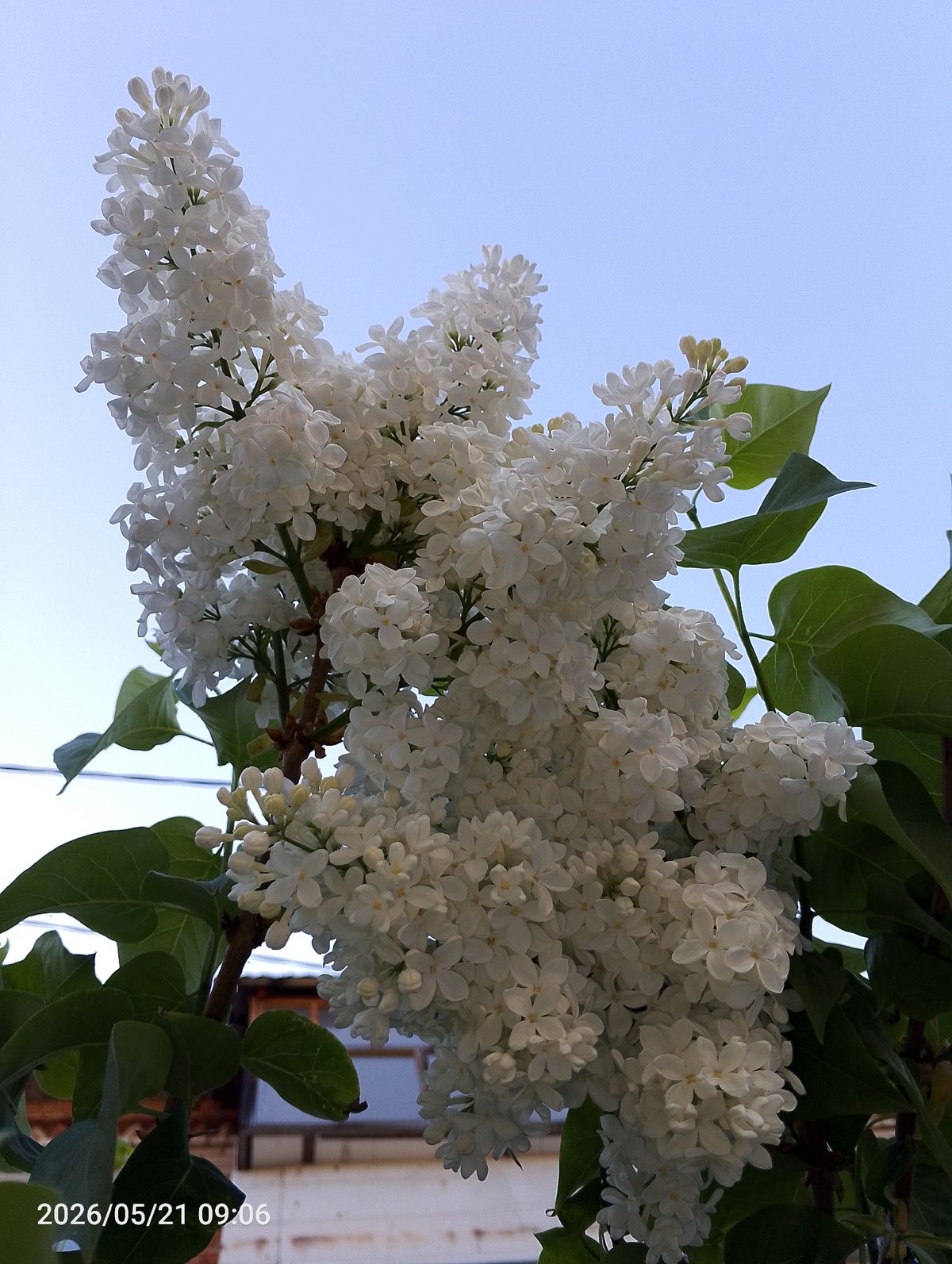 Spring morning moments captured across Chaikovsky, Russia