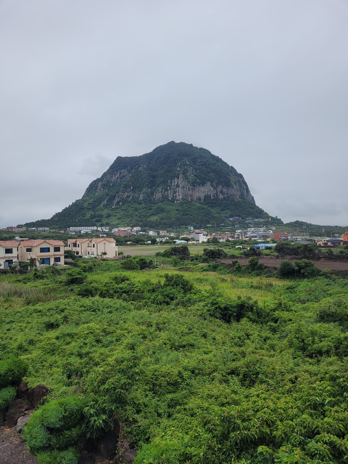 Overcast morning exploring Seogwipo's villages and volcanic landmarks