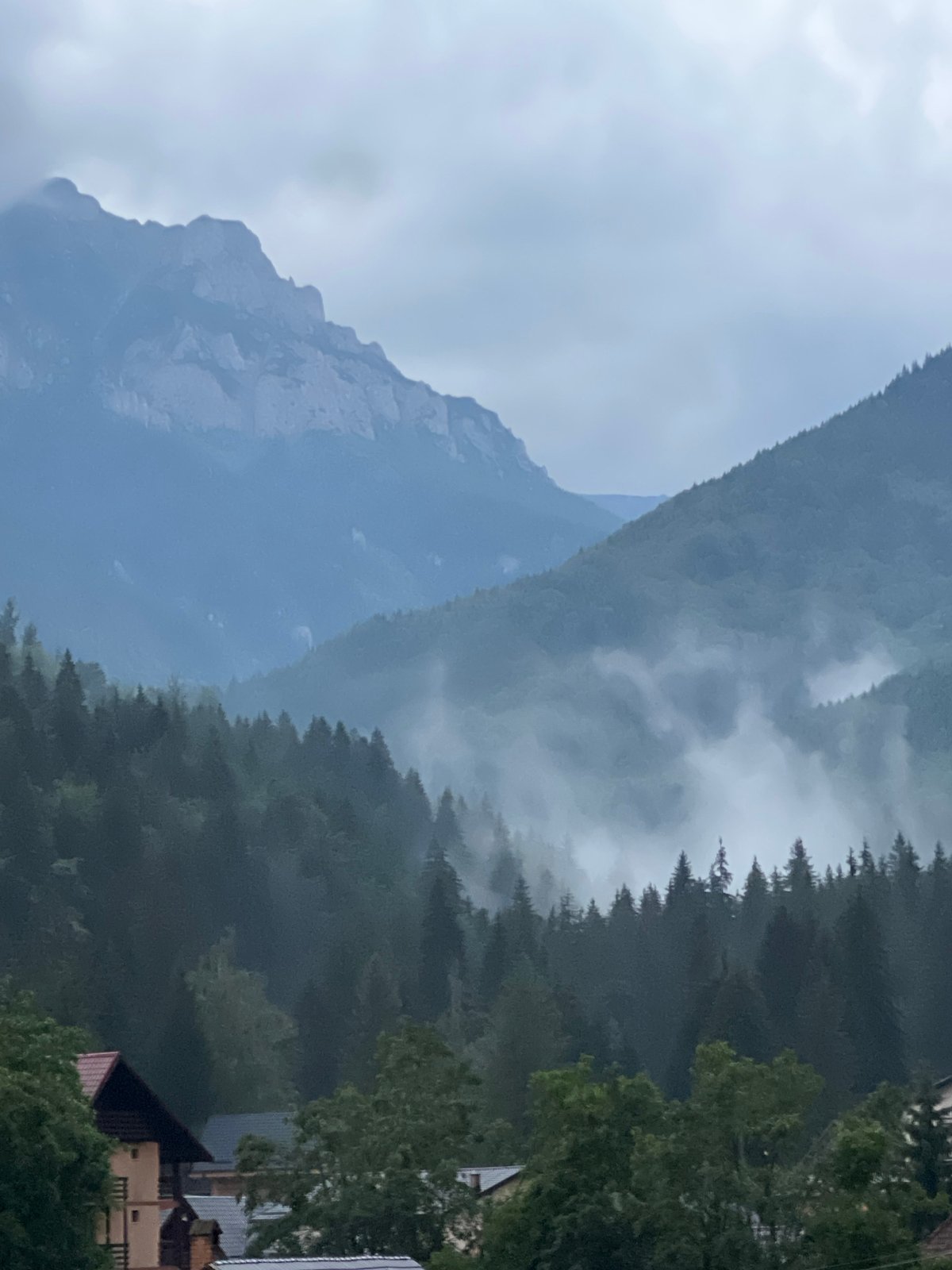 Foggy mountain village surrounded by dense forest on a cloudy day