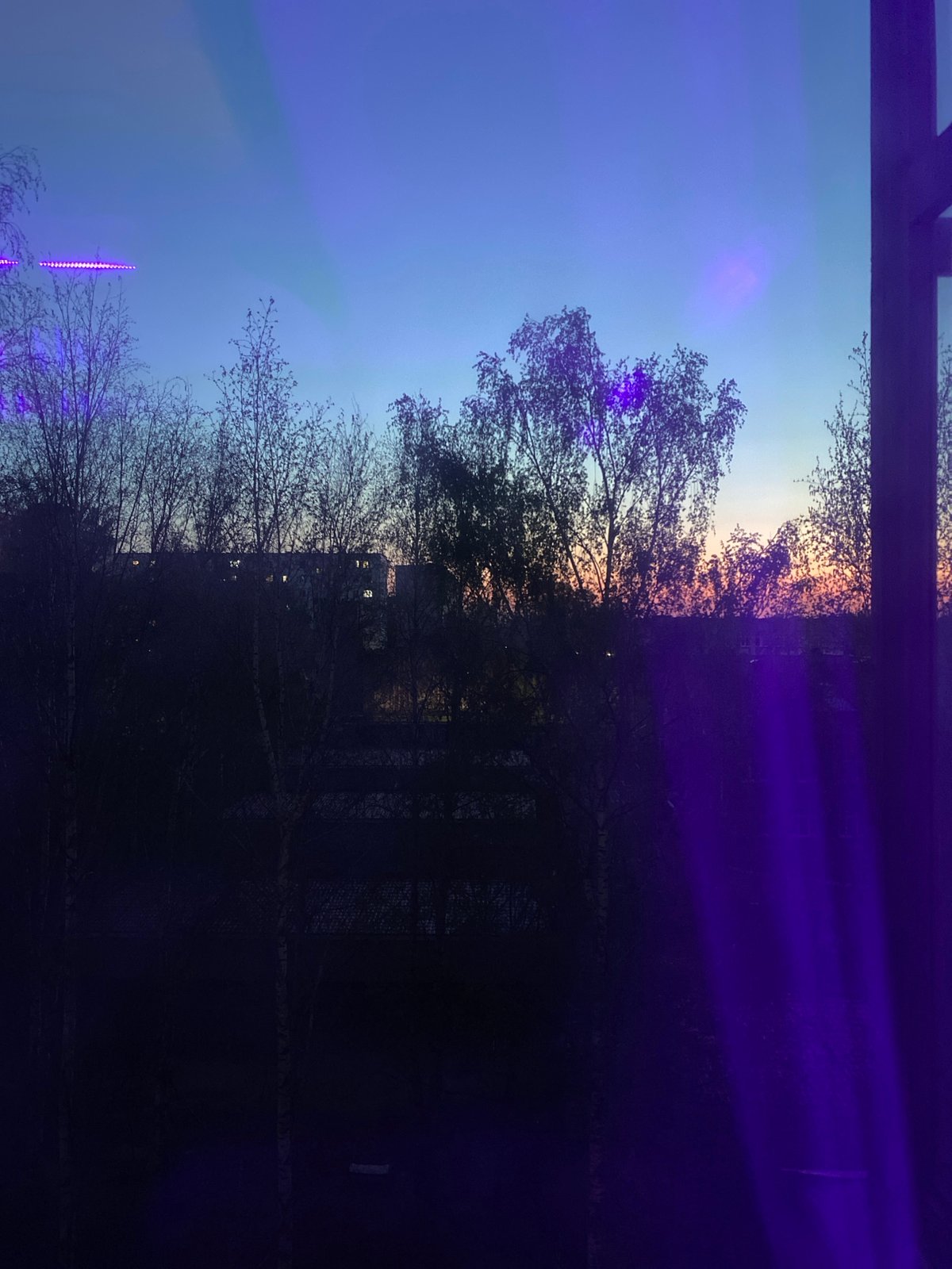 Twilight and forest scenes captured in Izhevsk, Russia