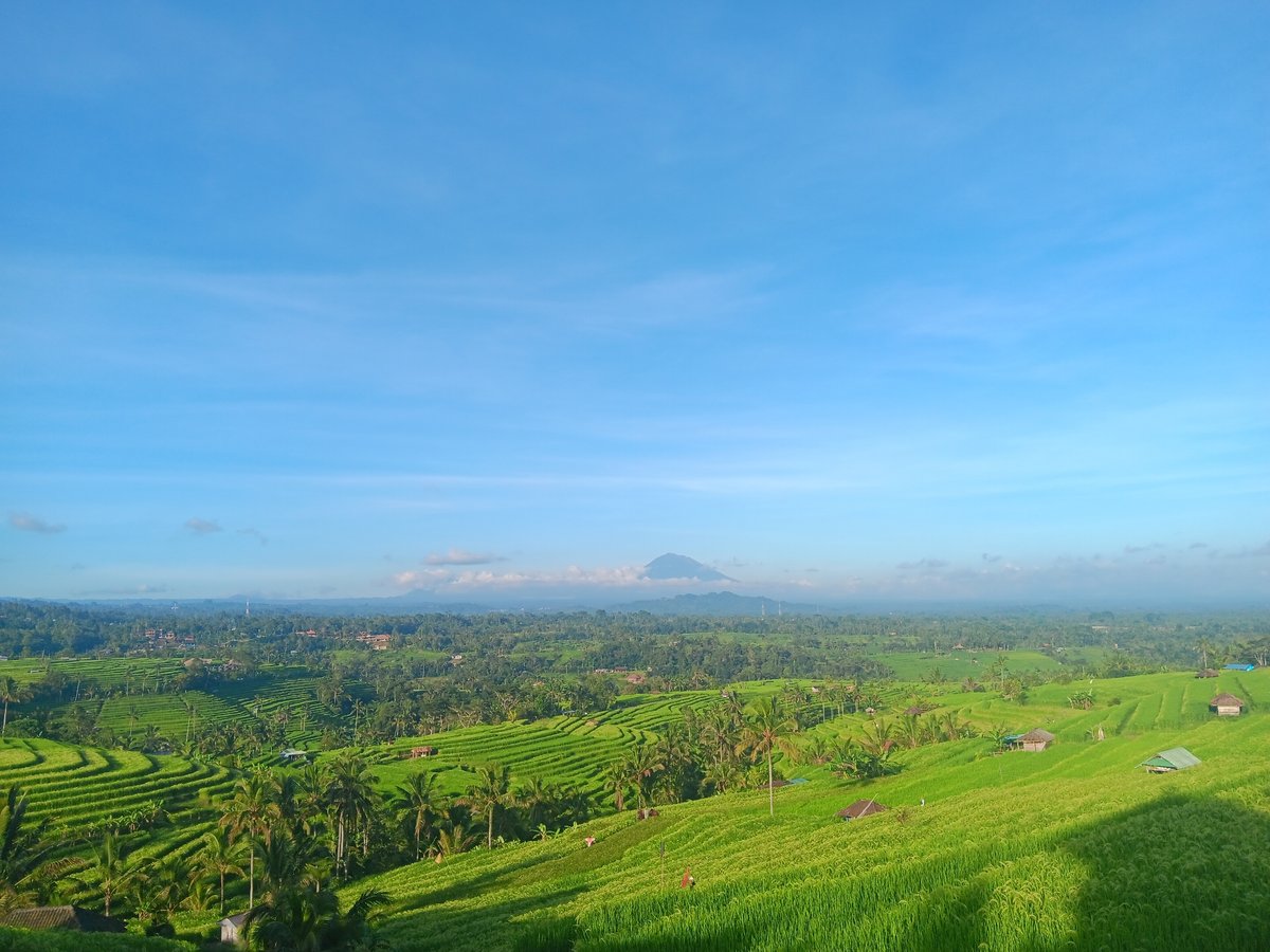 Barefoot visitor explores Jatiluwih rice terraces in Indonesia
