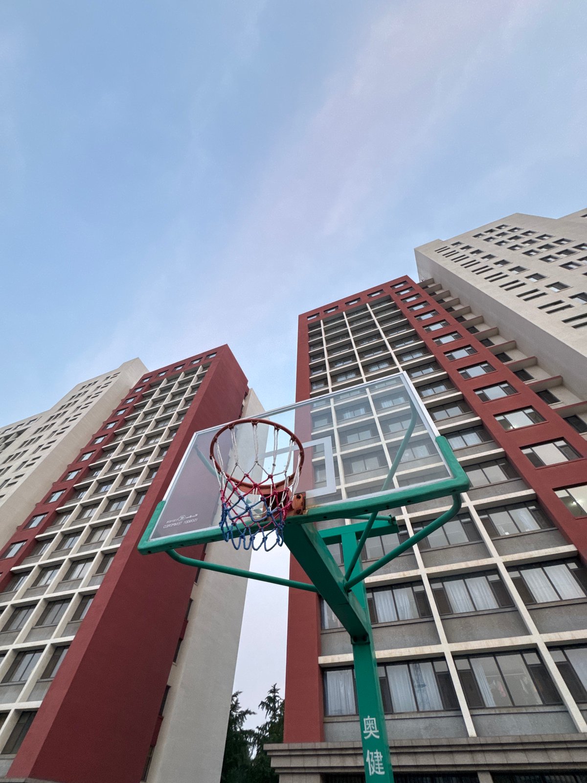 Residential courtyard in Zhongtun with blooming silk trees and basketball court