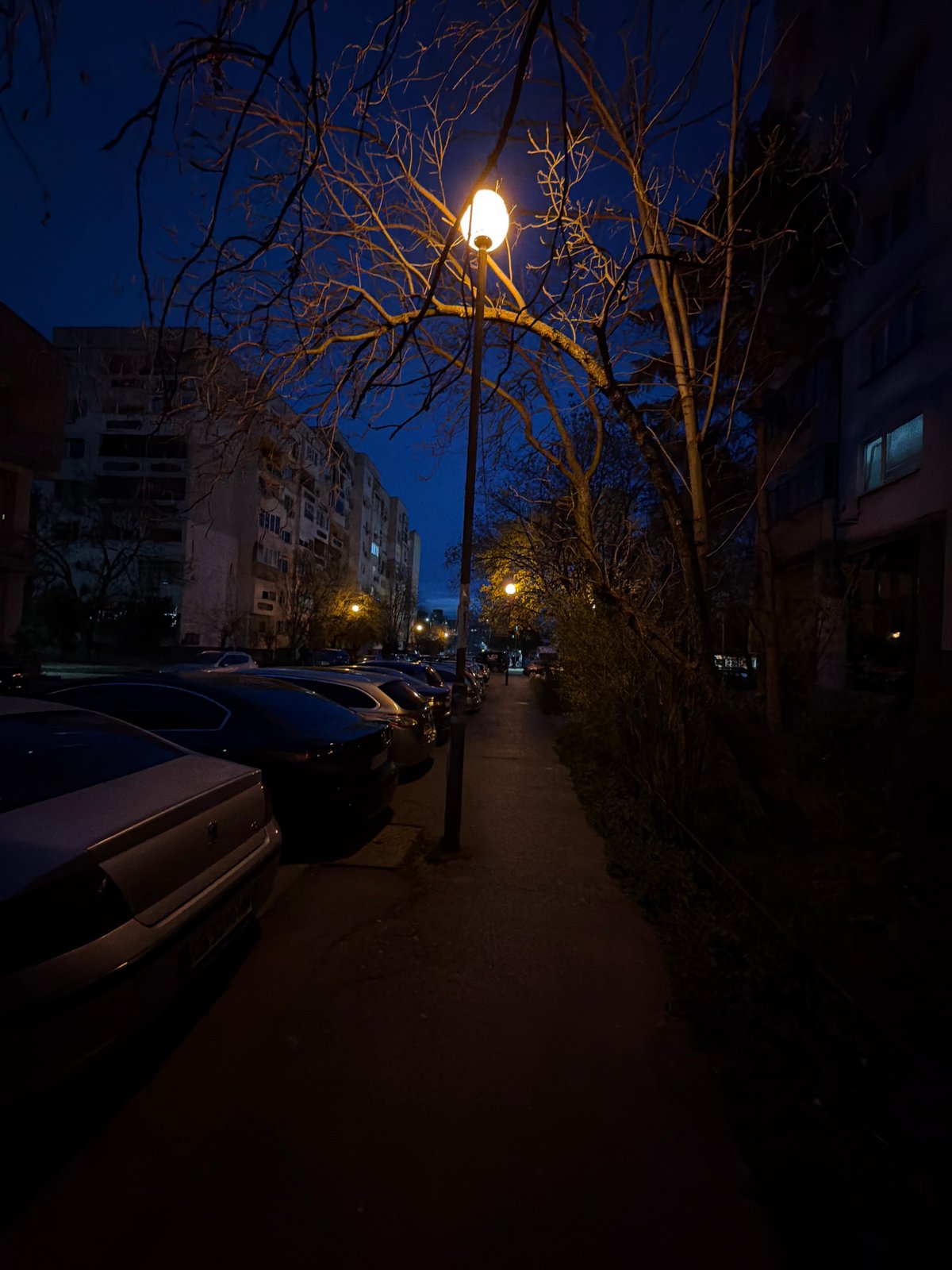 Evening car ride and street scenes captured in Sofia