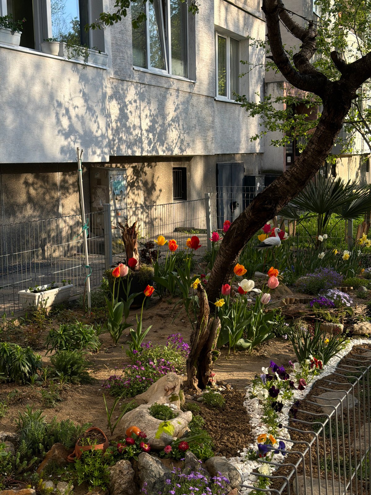 Sofia residents document garden scene and locker room selfie