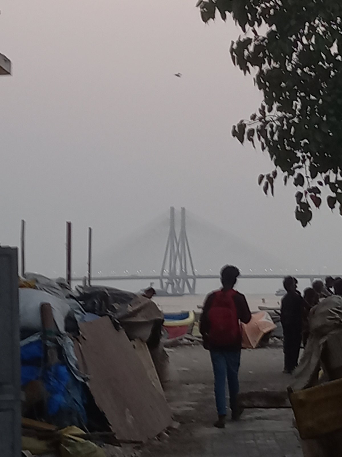 Daily life documented across Mumbai neighborhoods during foggy afternoon
