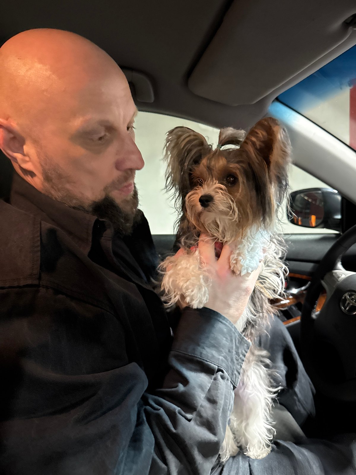 Evening drive through Sochi streets documented from dusk to night