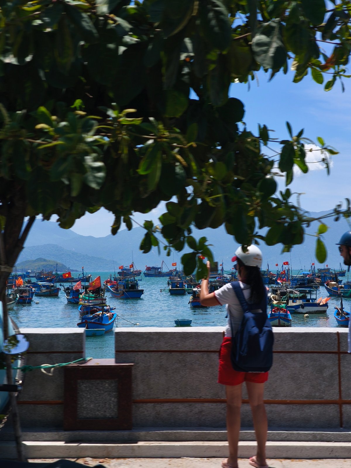 Vĩnh Lương fishing harbor packed with colorful boats on a clear morning