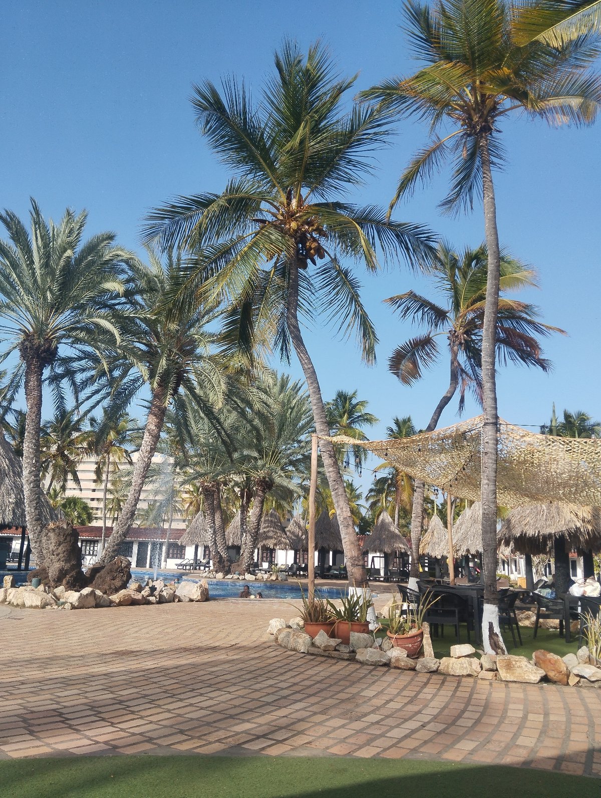 Man pets poodle at Venezuelan resort complex