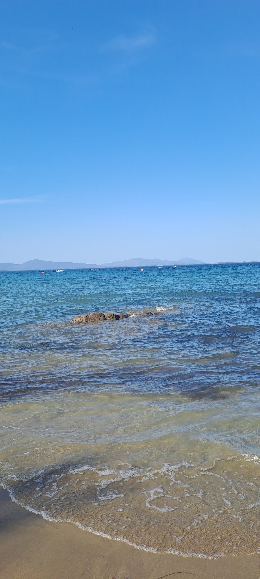 Sunny afternoon on a calm Irish beach with seaweed and stone walls