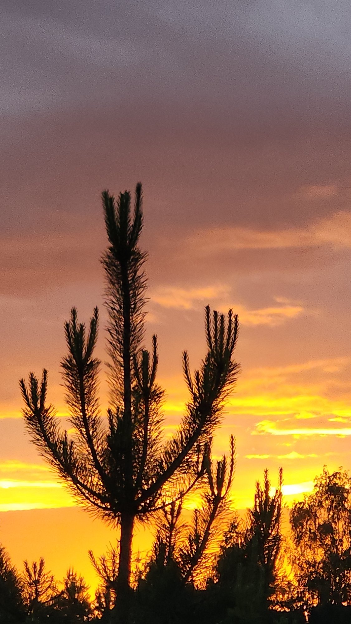 Vivid sunset observed across Belkovo, Russia countryside