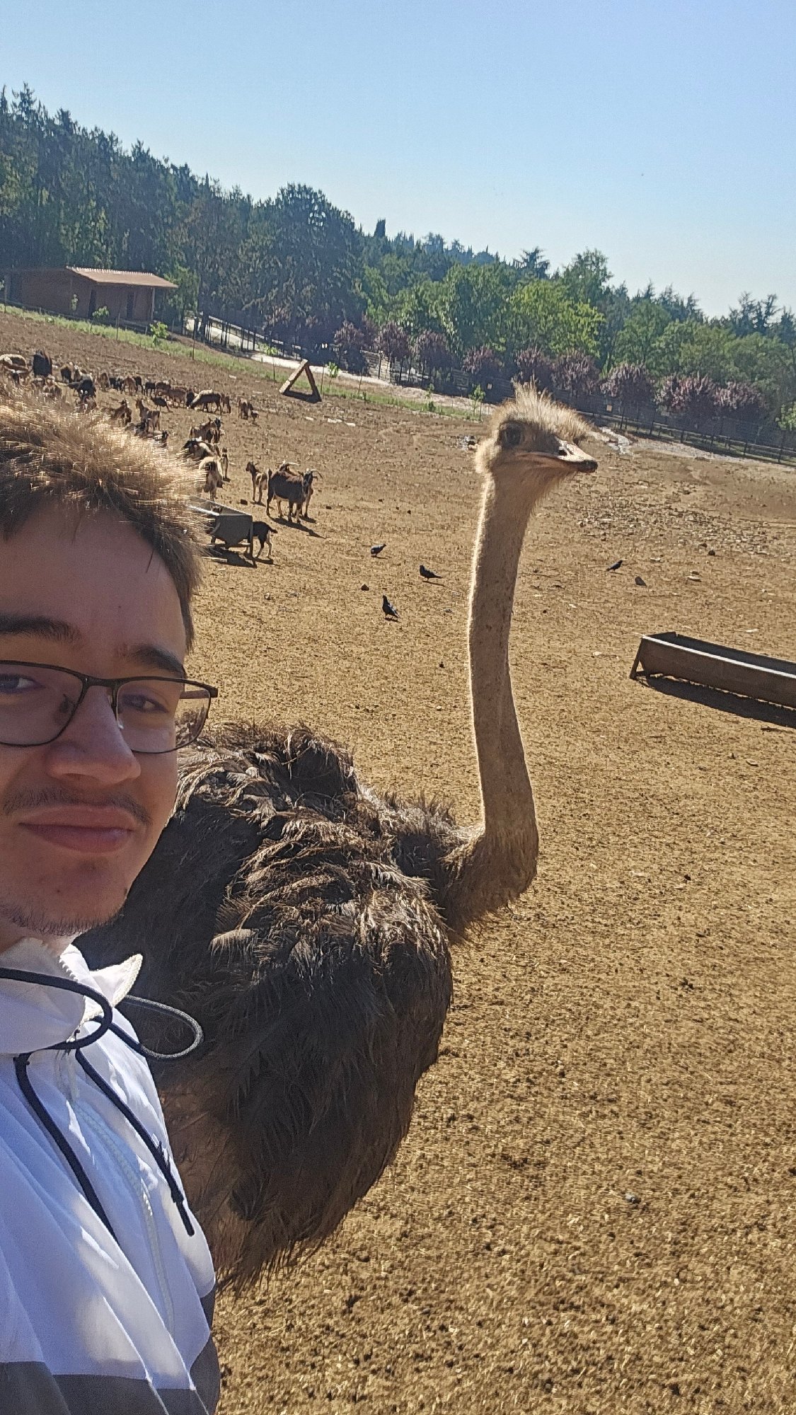 Selfie with an ostrich at a Stara Zagora enclosure