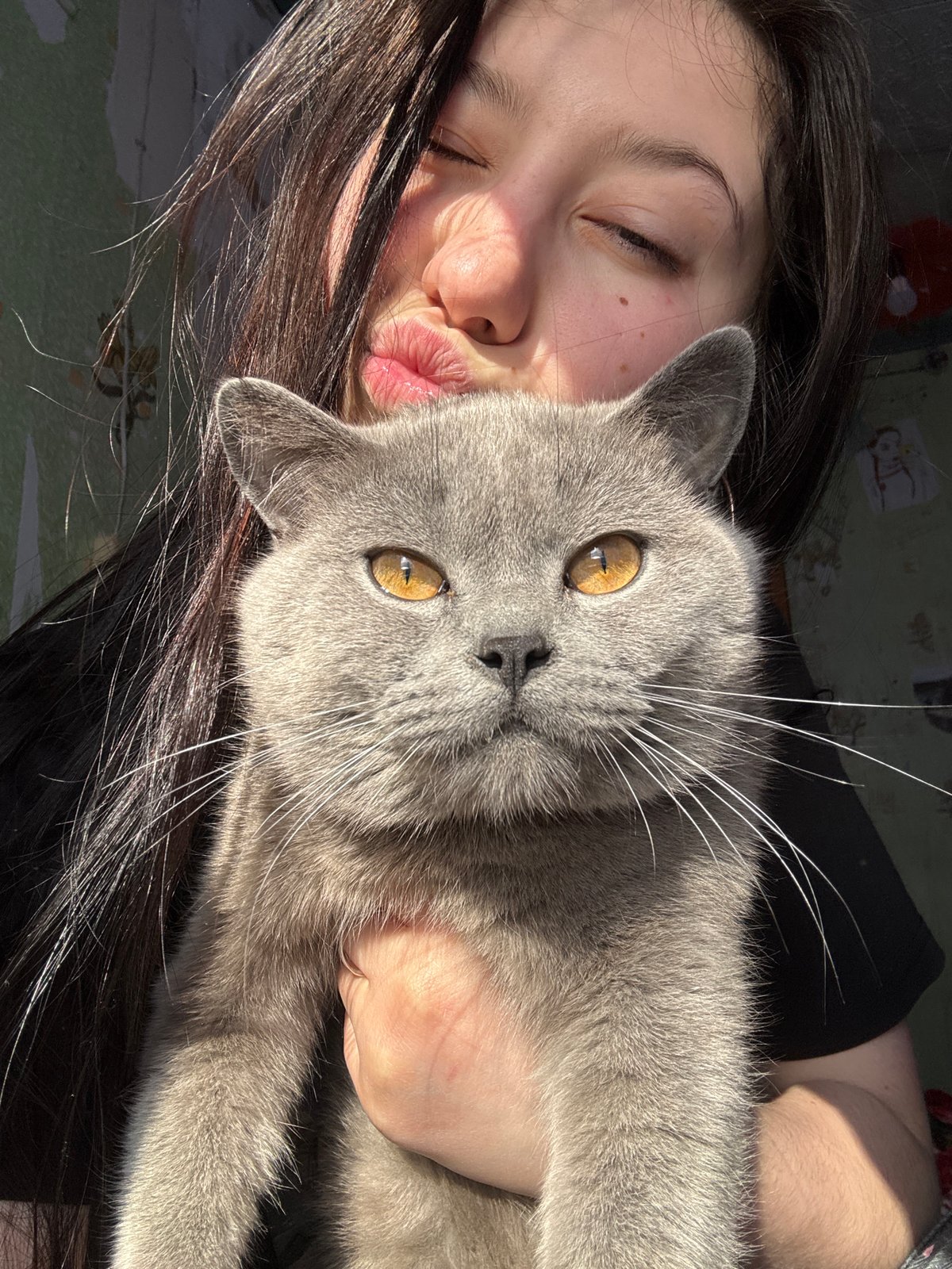 Woman shares tender morning moments with gray cat
