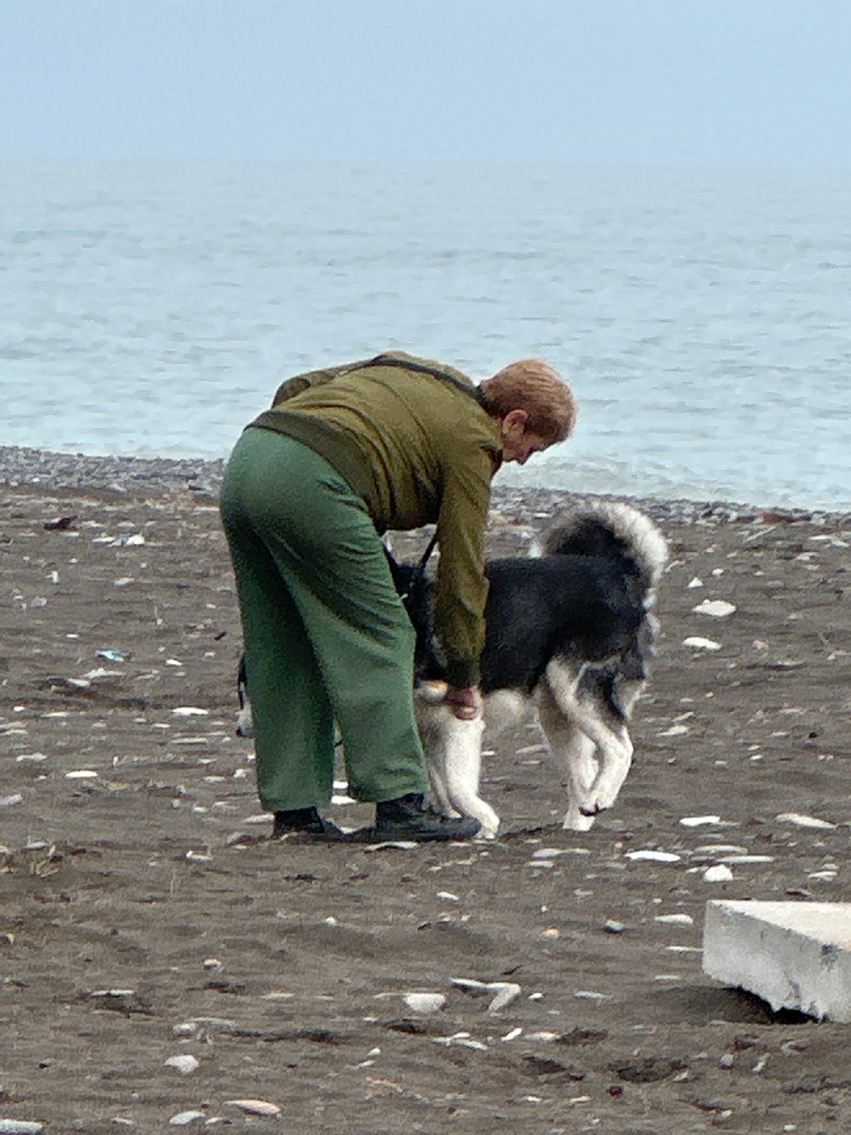 Morning street scenes and daily life captured across Batumi