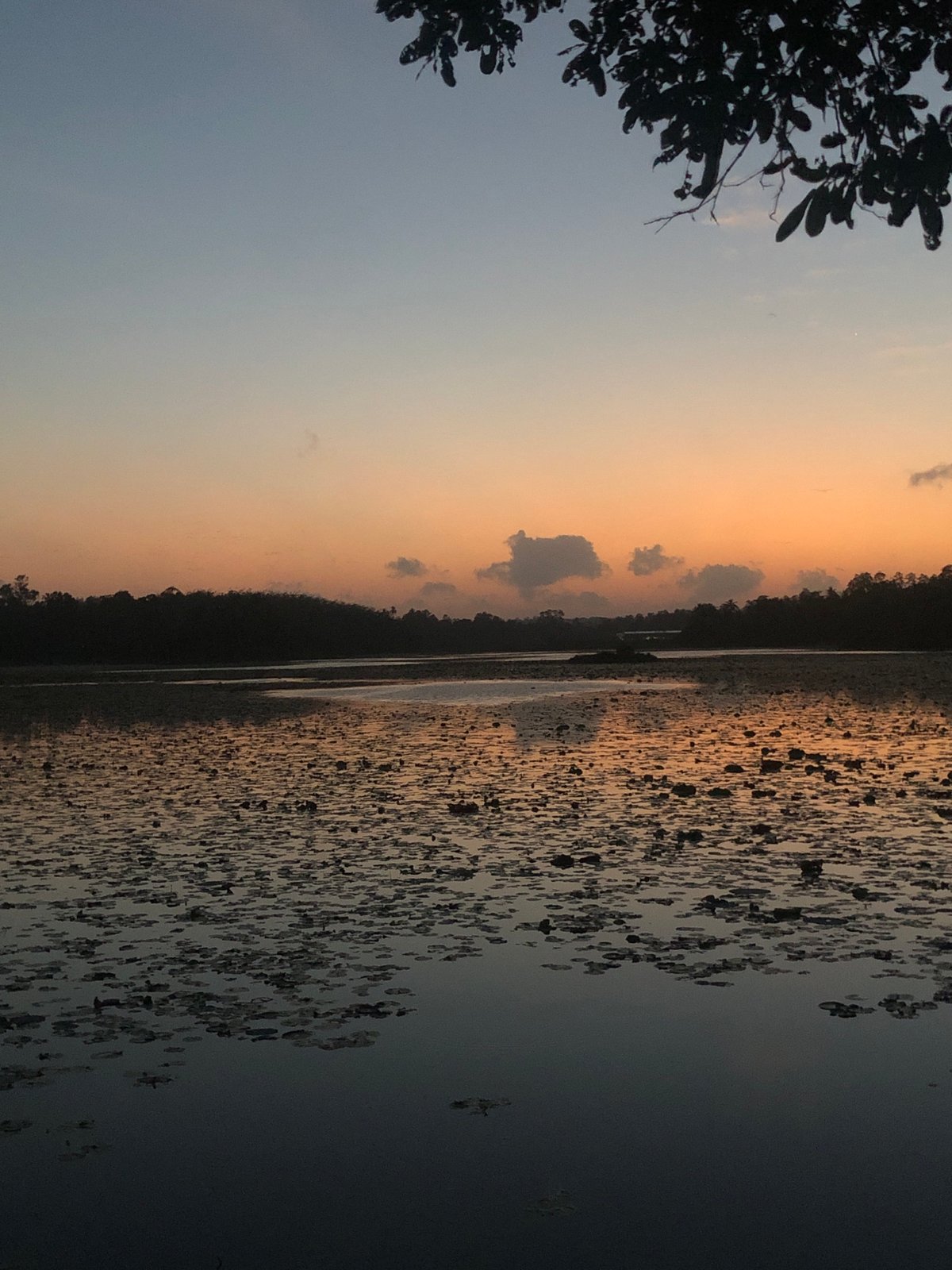 Dusk settles over a quiet lakeside in Moodugamuawa, Sri Lanka
