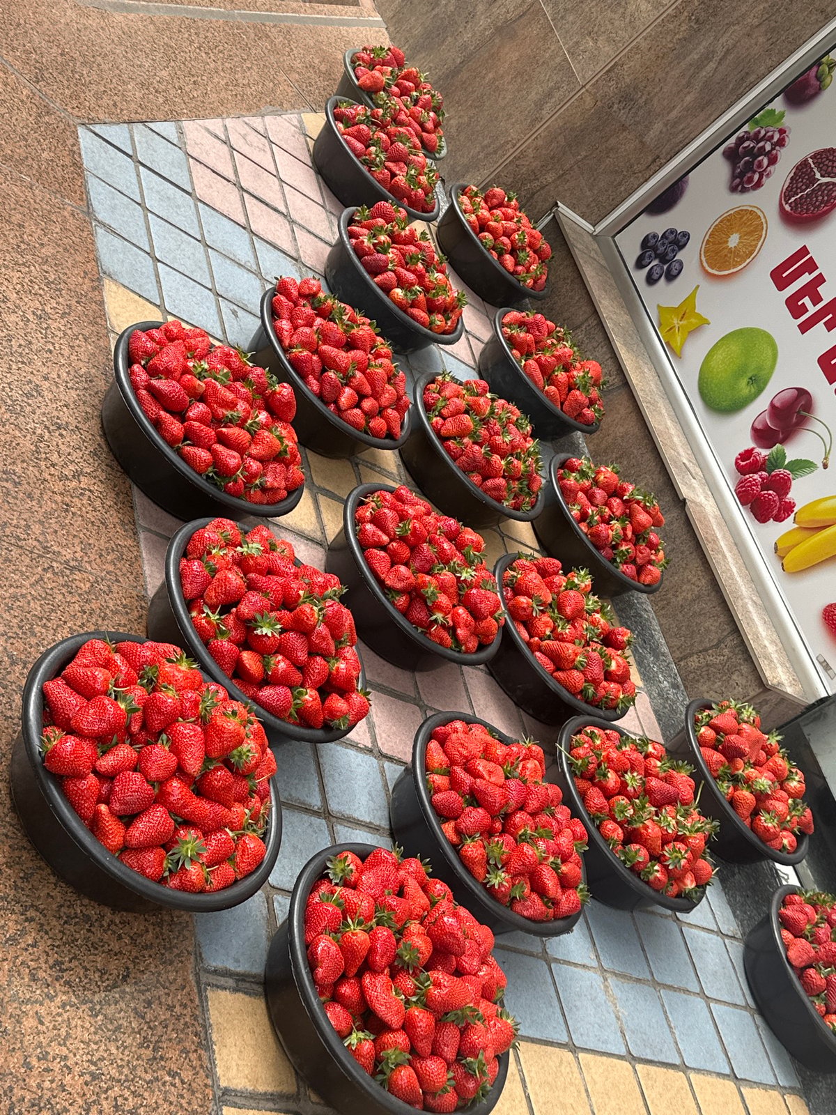 Morning street life in Yerevan: strawberry vendors, feeding cats