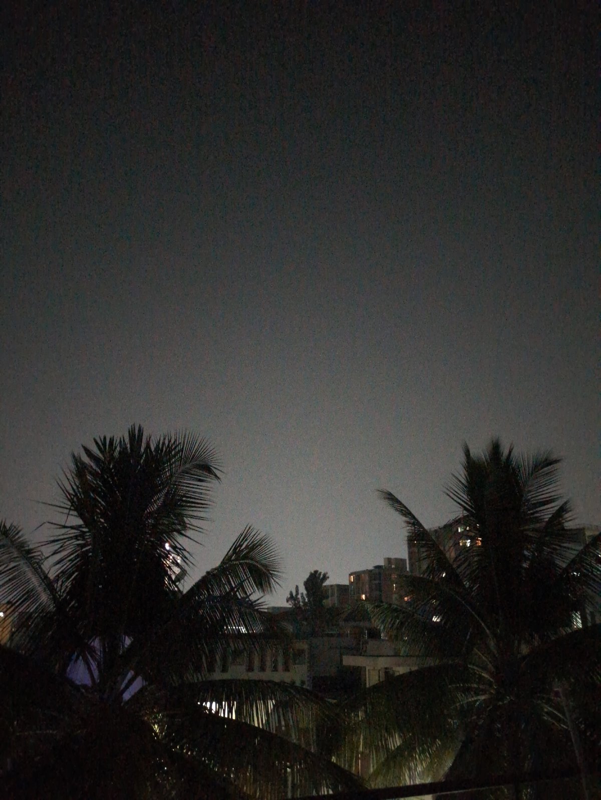 Overcast night scene with palm trees captured in Bengaluru