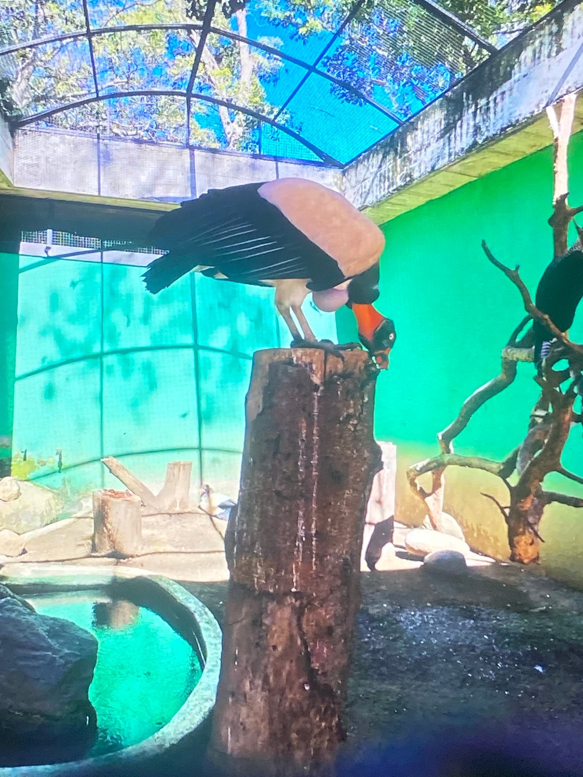 Wildlife viewing documented at Tinaquillo facility in Venezuela