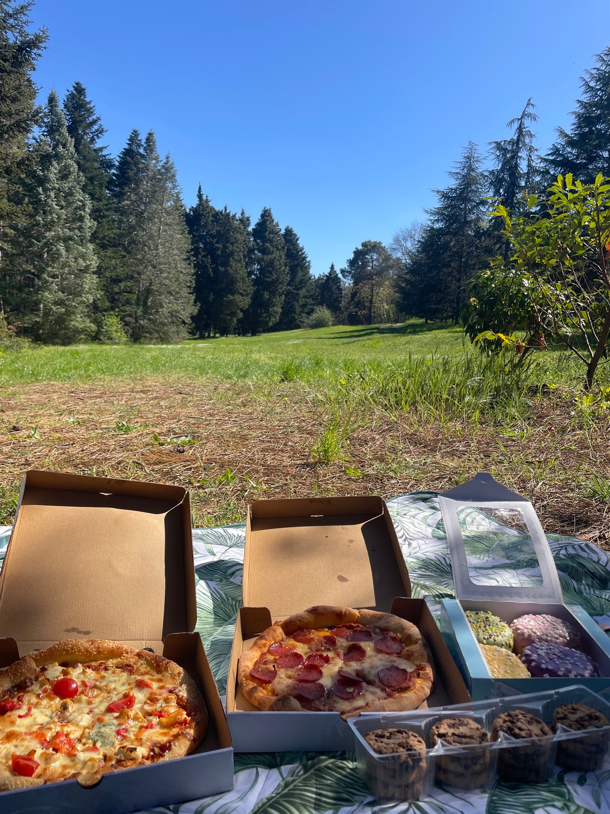 Pizza picnic documented in Varna park area