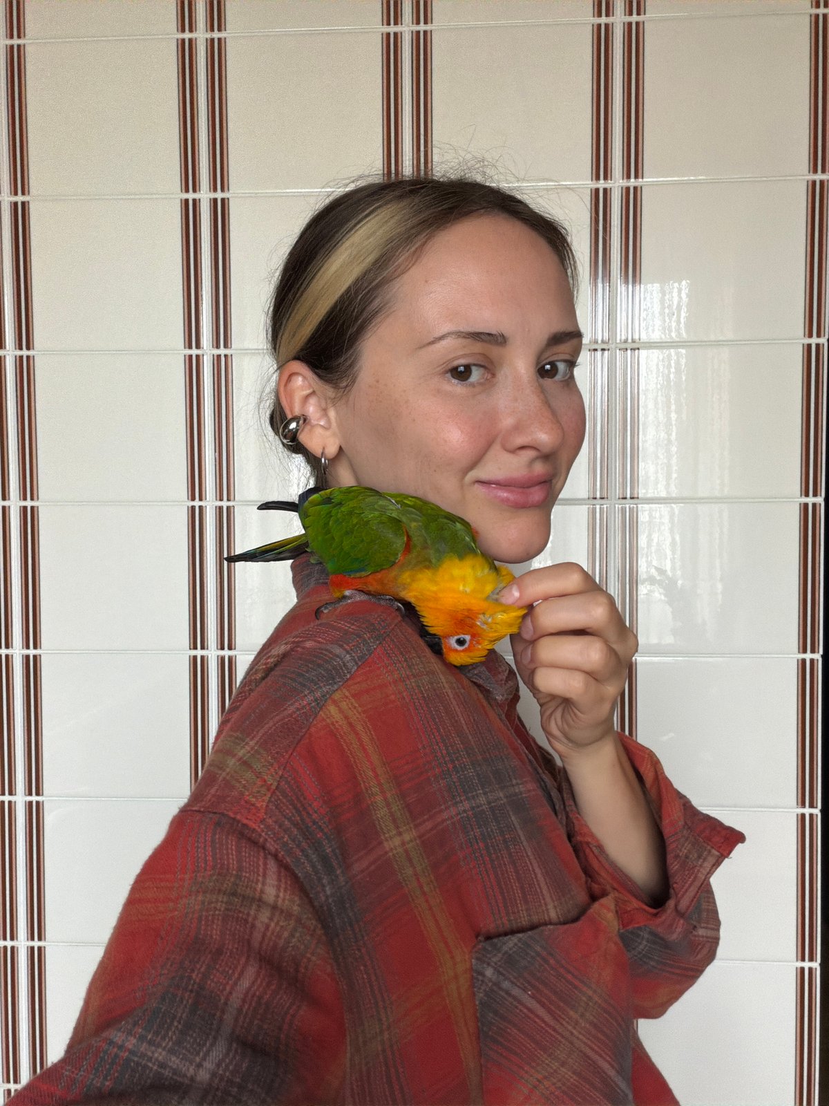 Sun conure parrot hangout session in Khimki