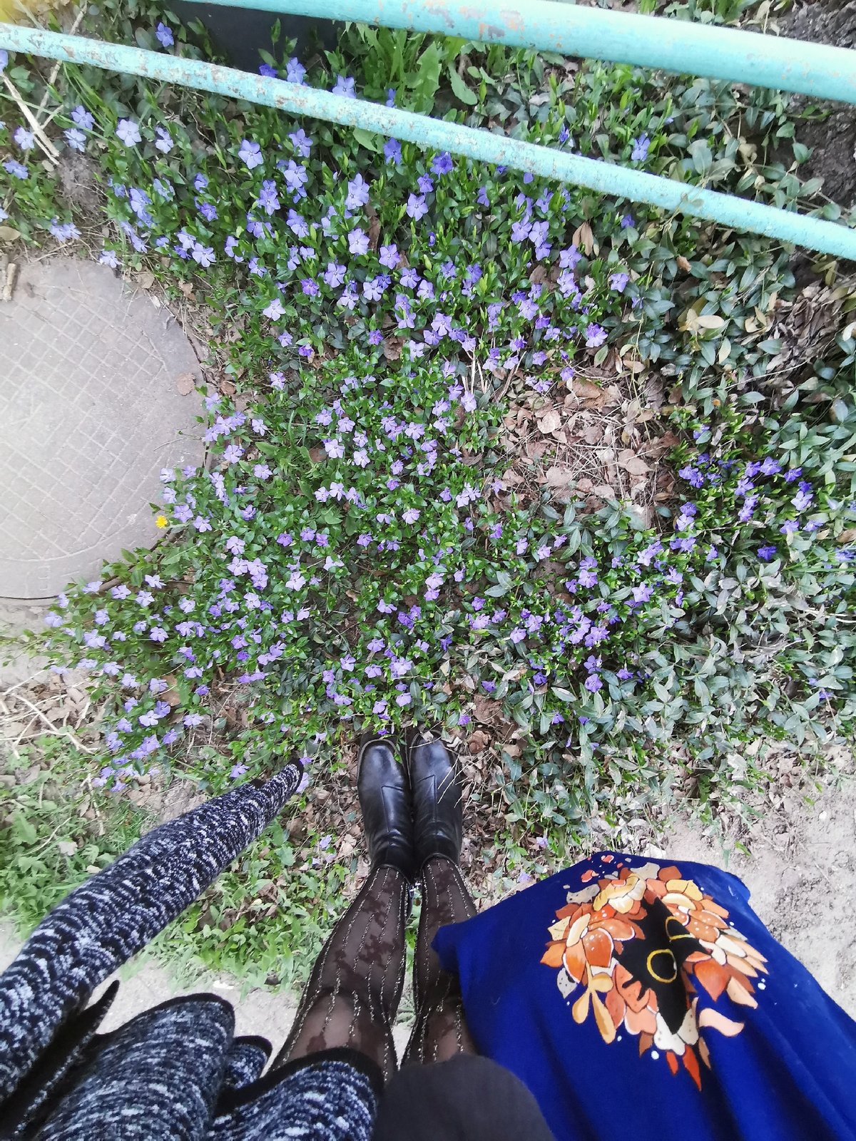 Spring day documentation captures urban life, flowers, selfies