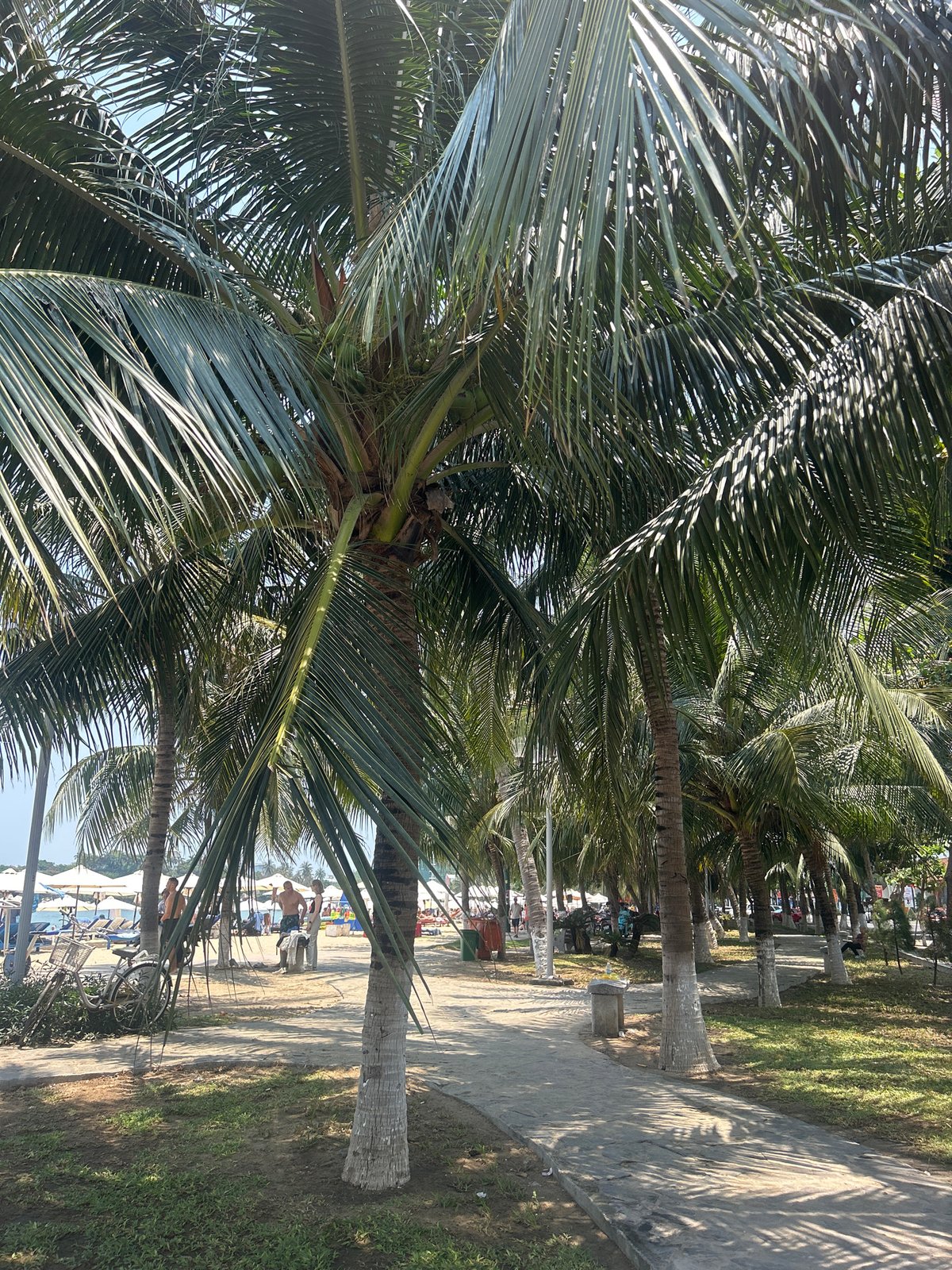 Early morning street scenes captured in Bắc Nha Trang
