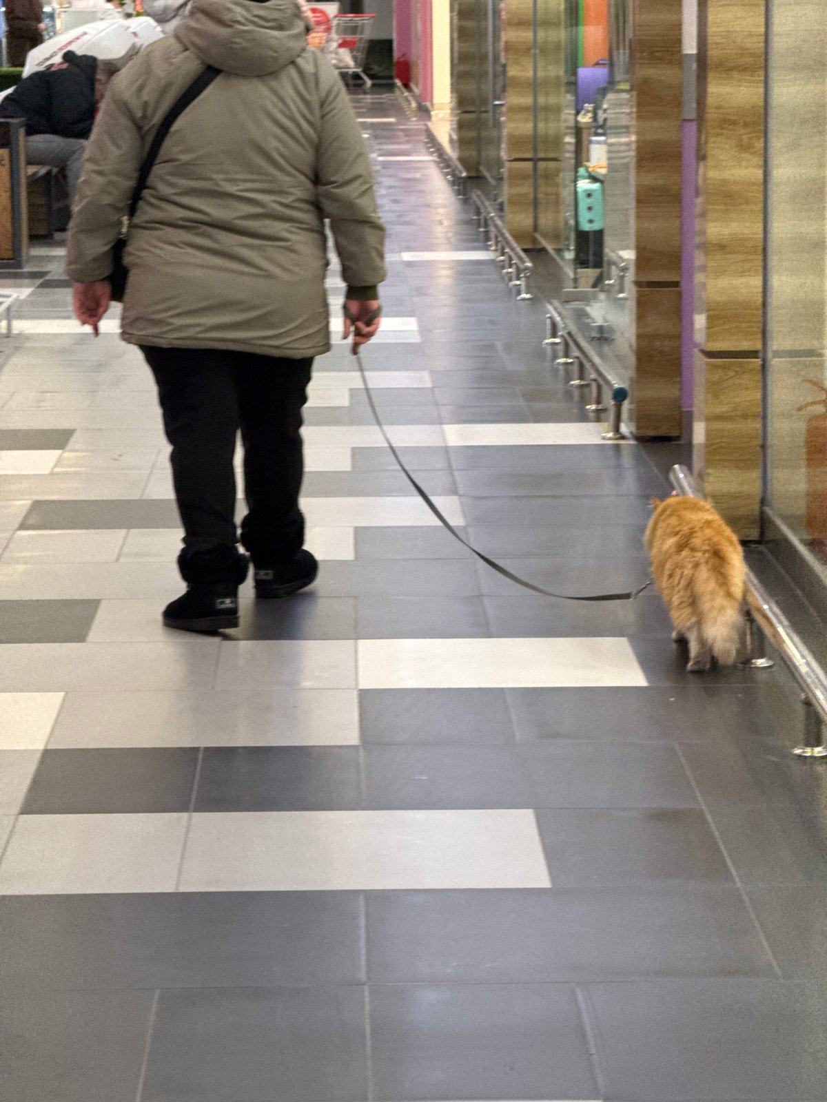 Routine shopping activities observed at Moscow retail location
