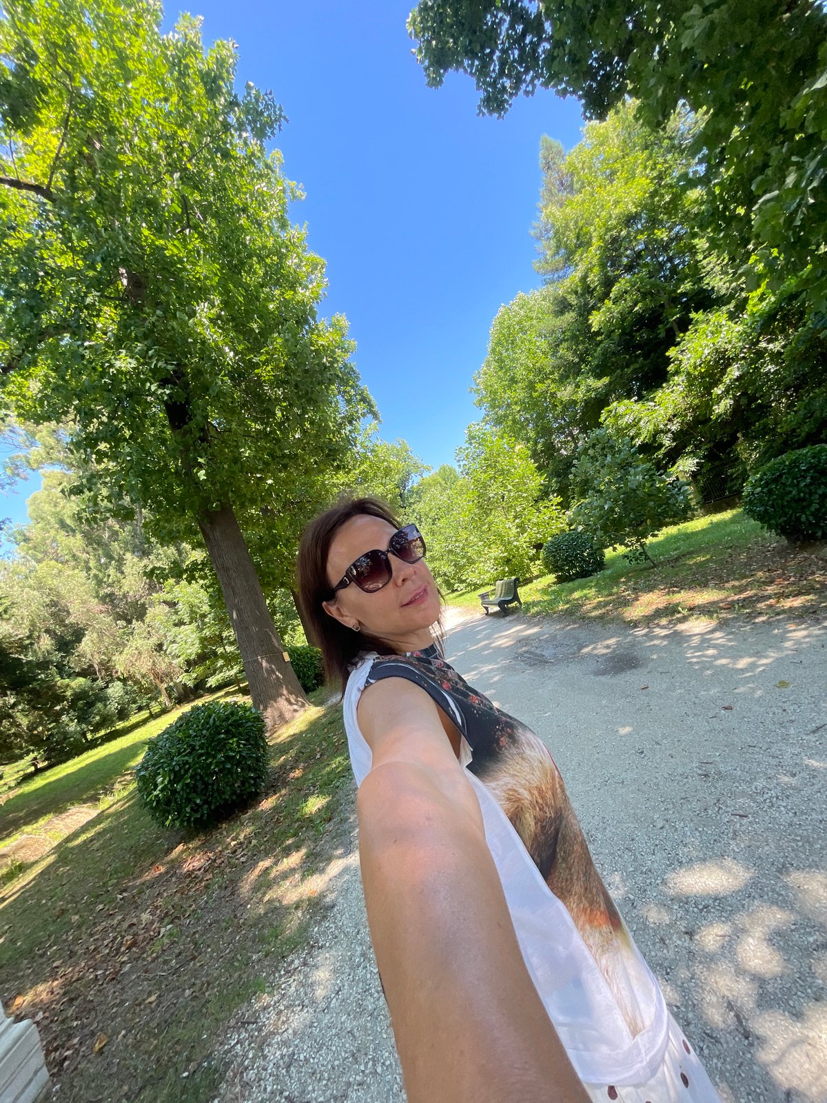 Park life in Sirius: people, paths, and a curious red squirrel