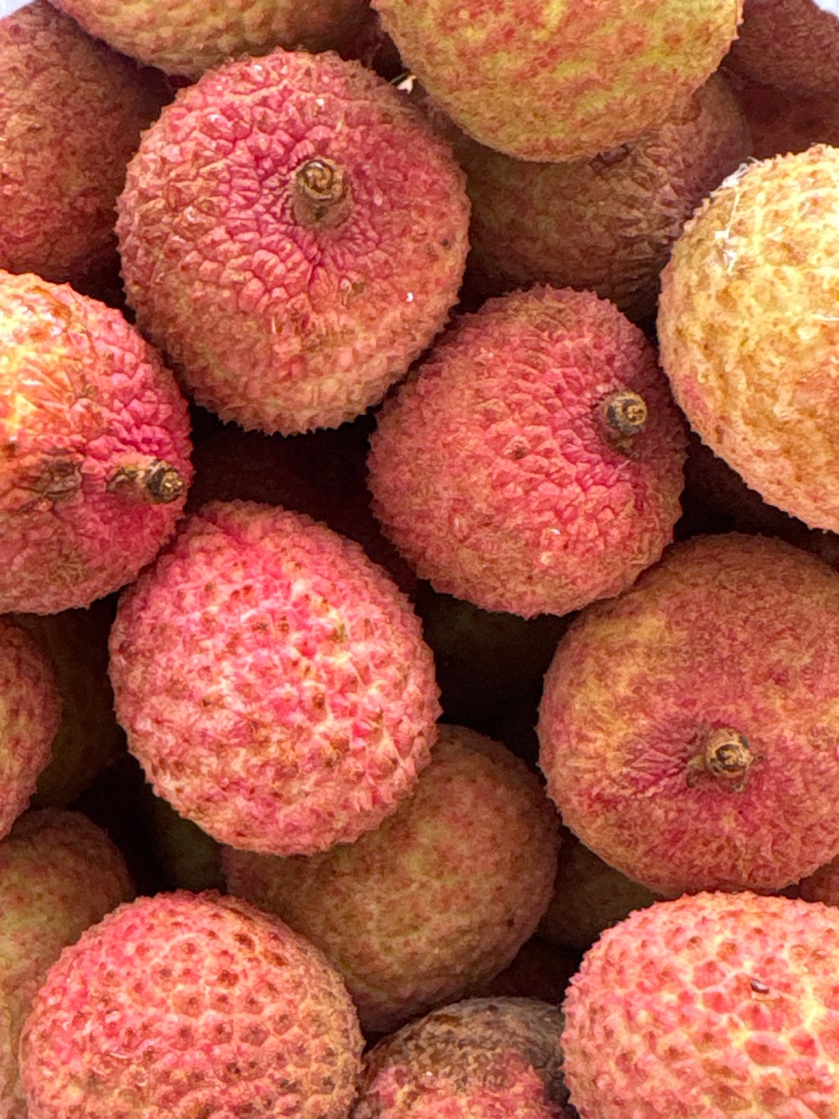 Puebla residents document office work and lychee shopping