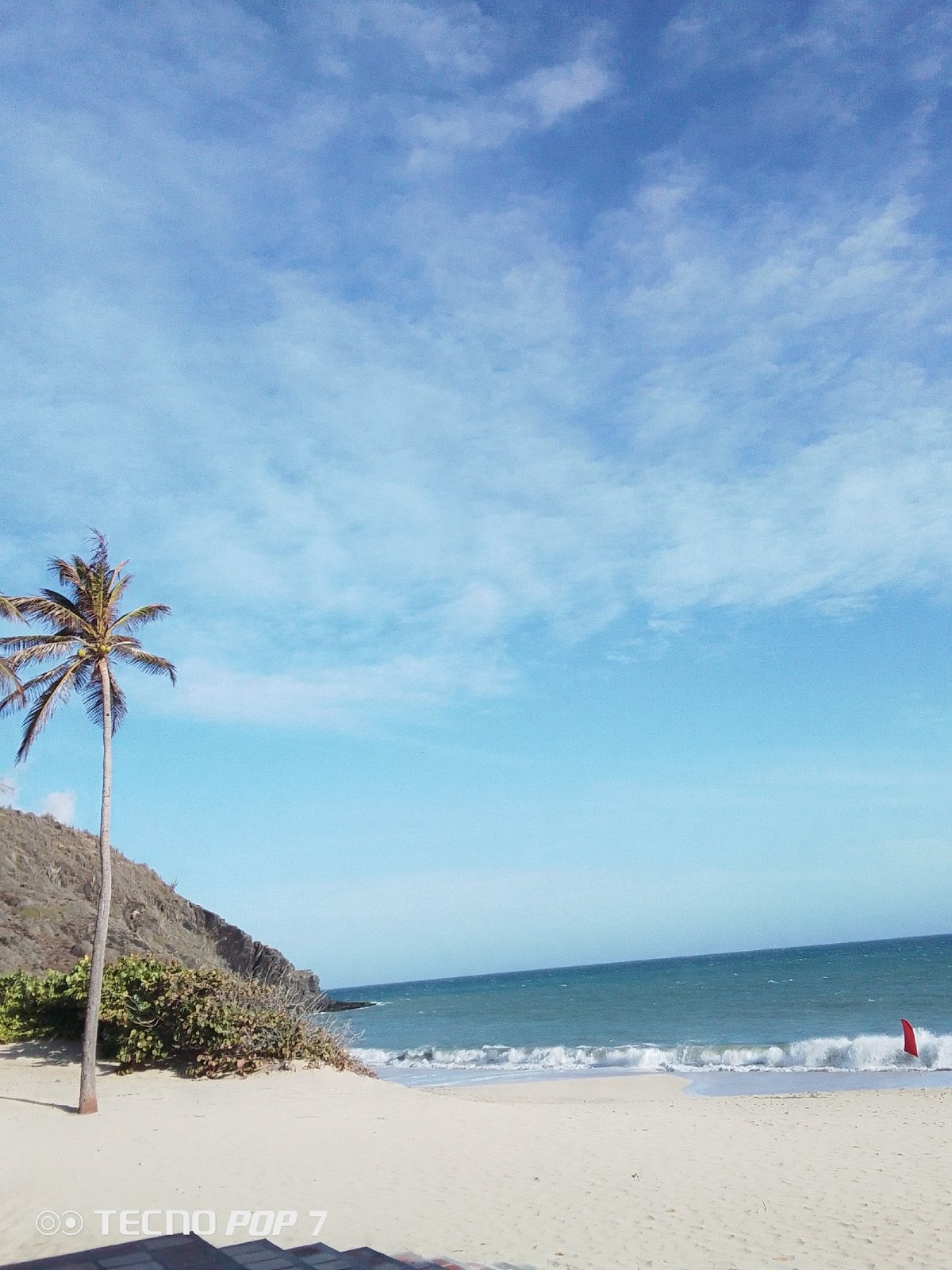 Tropical beach scene documented in Pedro González, Venezuela