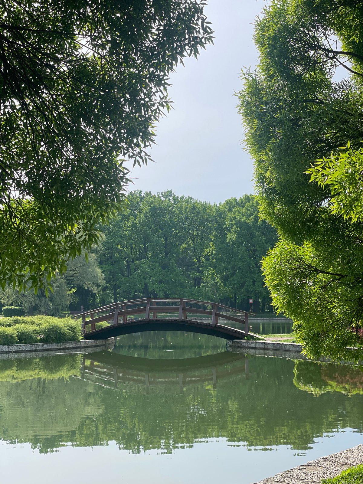 Peaceful morning scene of wooden bridge reflected in Moscow waters