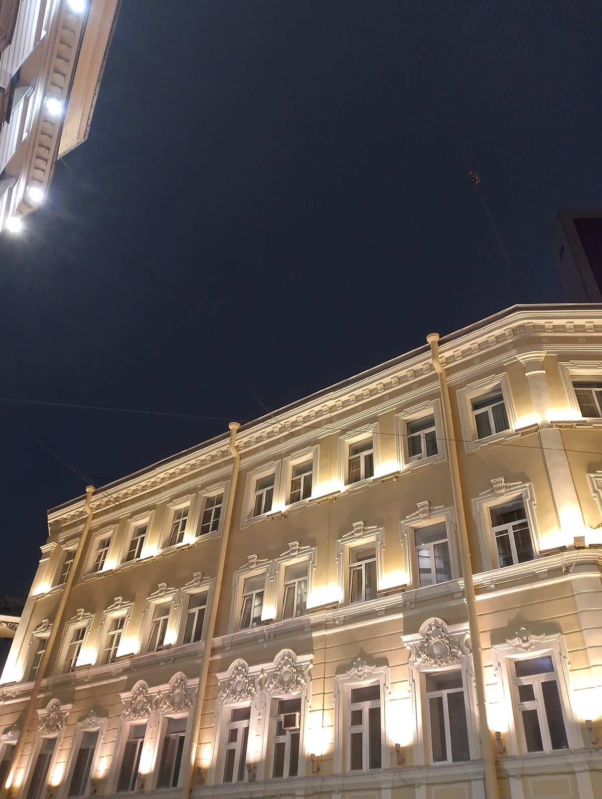Night architecture and a cat in Saint Petersburg