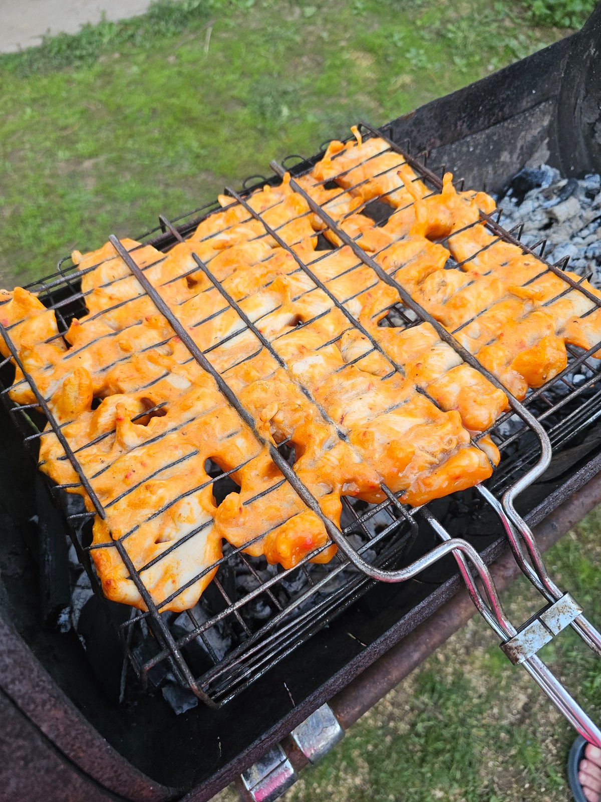 Backyard barbecue with orange-glazed chicken documented in Альняш