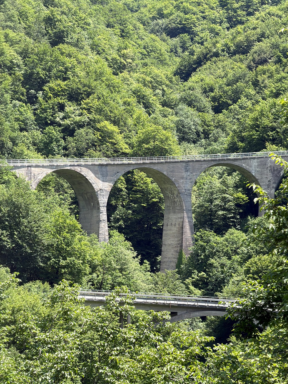 Three-arch concrete bridge photographed spanning forest in Montenegro