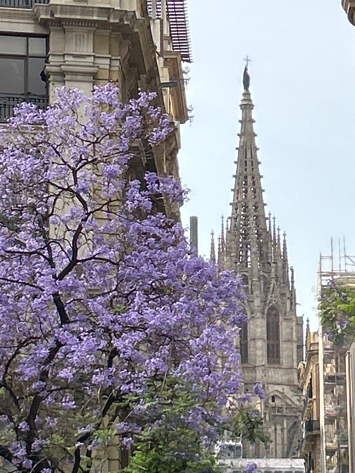 Morning street life captured across Barcelona's city center