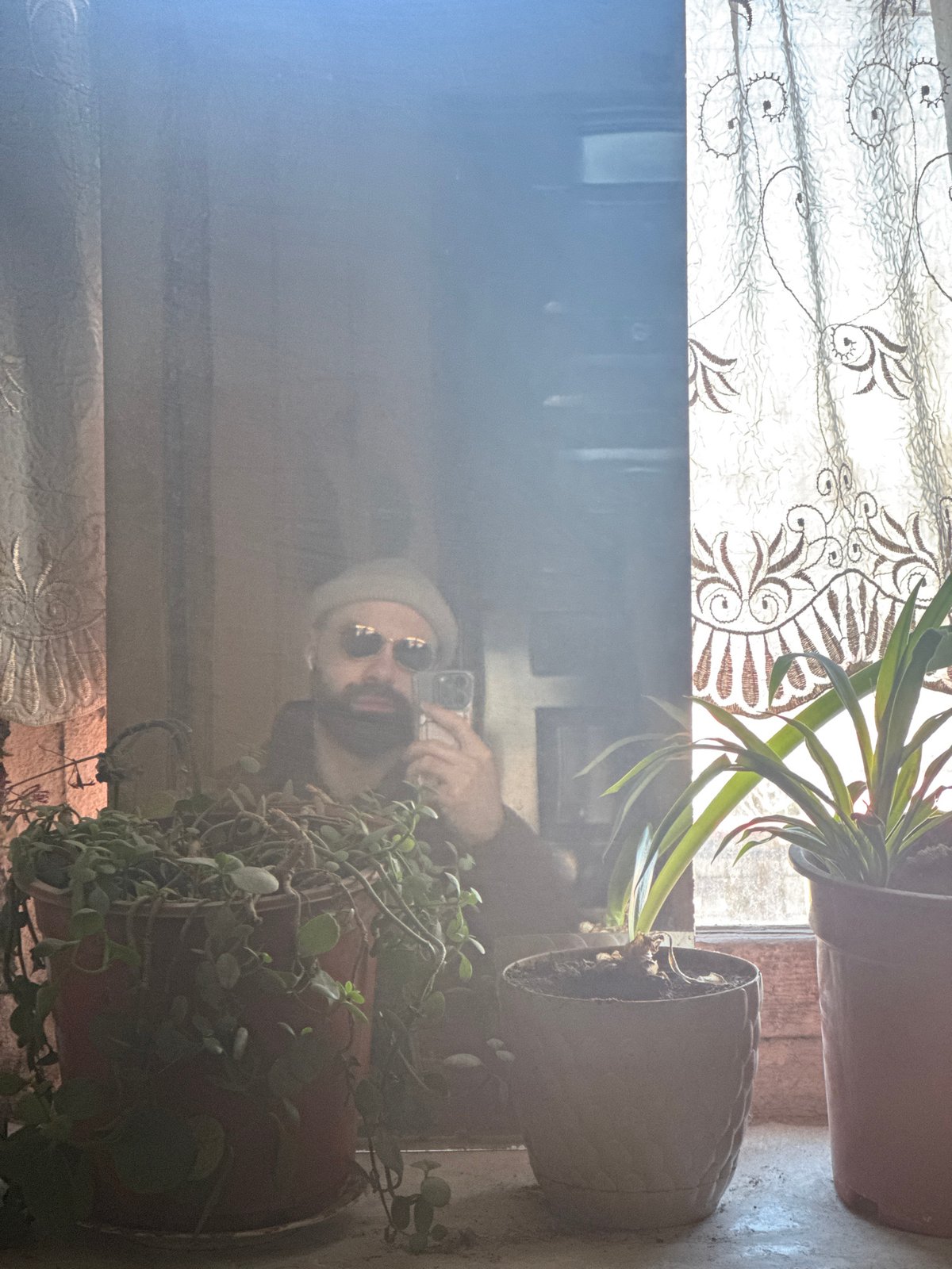 Person captures reflection in plant-filled window in Yerevan
