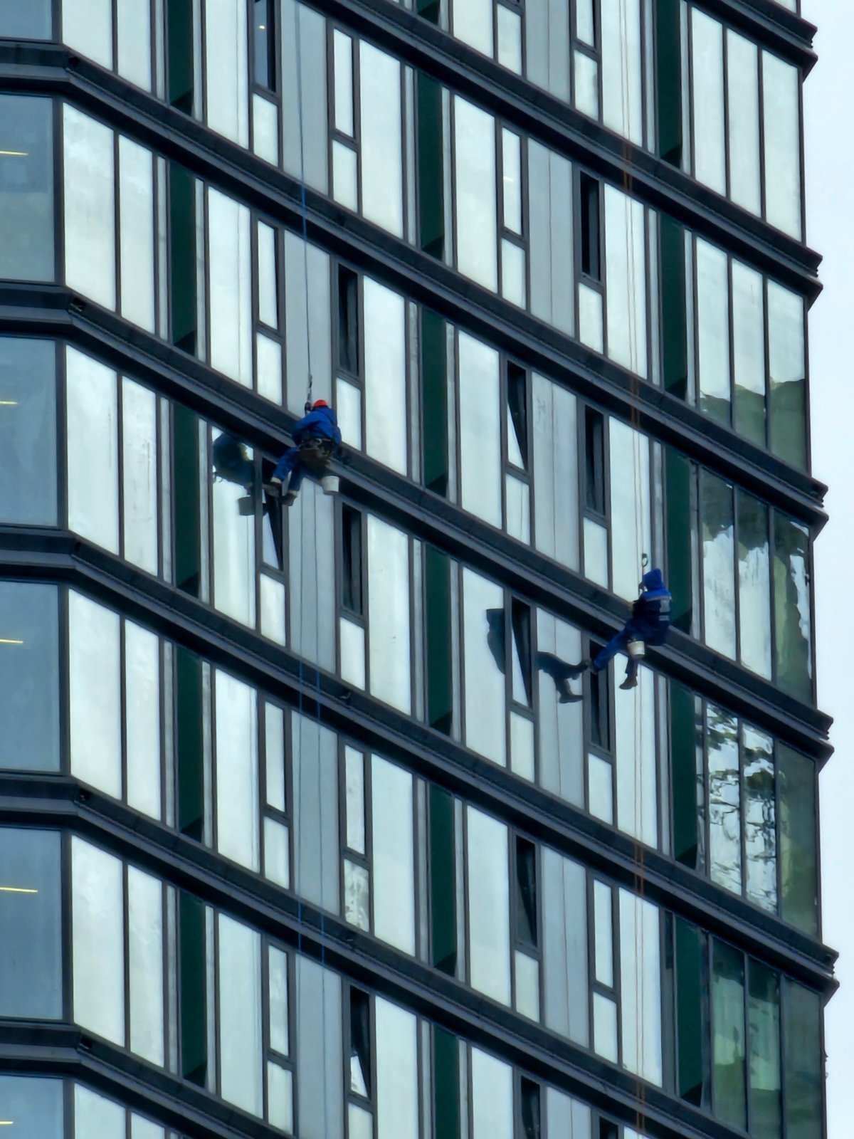 Rope crews work the glass towers of Moscow City